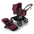 Bugaboo Kangaroo Complete Stroller-PRE ORDER