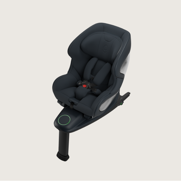 Babyark Convertible Car Seat