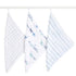 Aden and Anais Cotton Muslin 3pk Washcloths