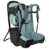 Thule Sapling Child Carrier